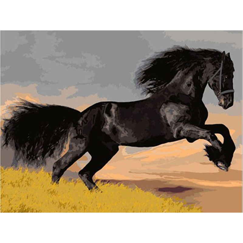Regal Black Stallion Canvas Art
