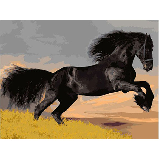 Regal Black Stallion Canvas Art